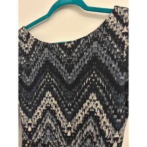 Lily Rose Fit and Flare dress size S